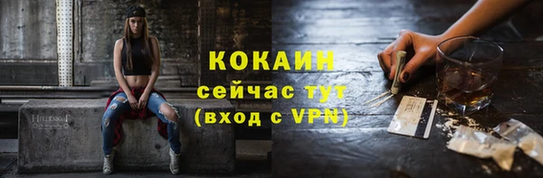 гидра Надым