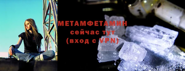 гидра Надым
