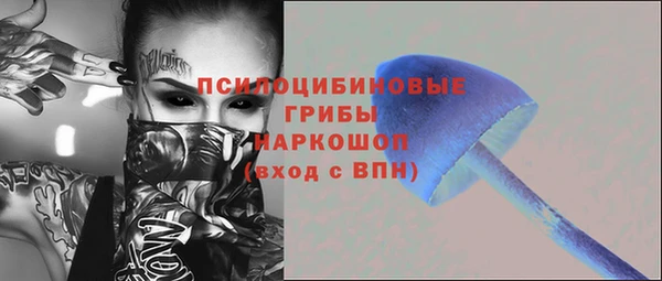 гидра Надым