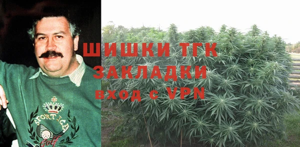 гидра Надым